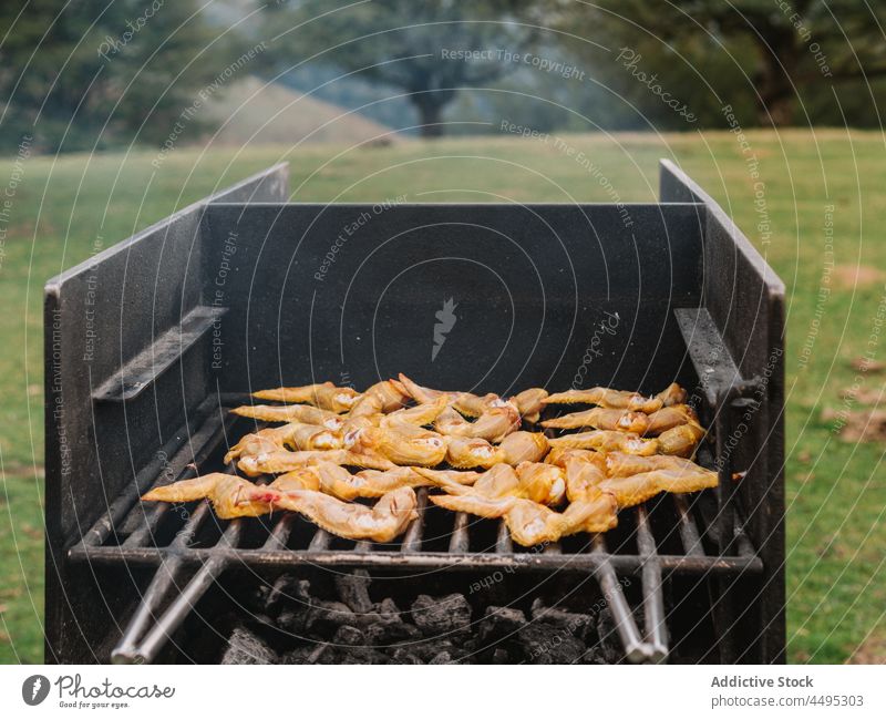 Hähnchenflügel auf dem Grill gebraten Flügel Fleisch Federvieh Grillrost Barbecue Braten Gitter Feld roh Landschaft Holzkohle grillen Lebensmittel geschmackvoll