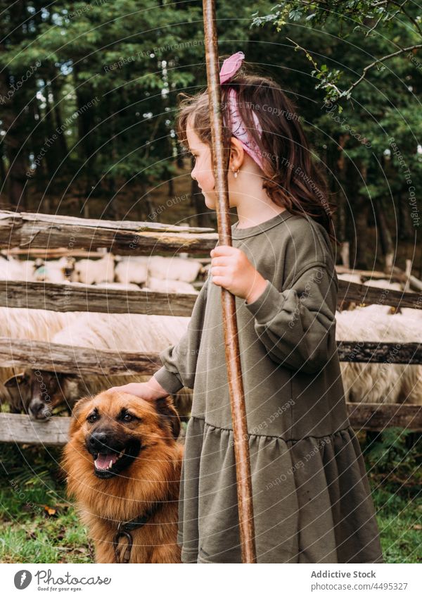 Entzückendes Kind streichelt Rassehund auf einer Schaffarm Streicheln baskischer schäferhund Bauernhof Tier Mädchen Landschaft Hund Haustier Säugetier niedlich