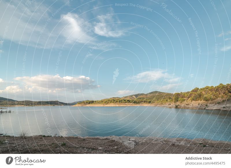 Fließender See in der Nähe grüner Bäume Wasser Natur Küste Wasserseite Seeufer Baum Pflanze Ufer Hafengebiet Umwelt malerisch aqua fließen Fluss Oberfläche