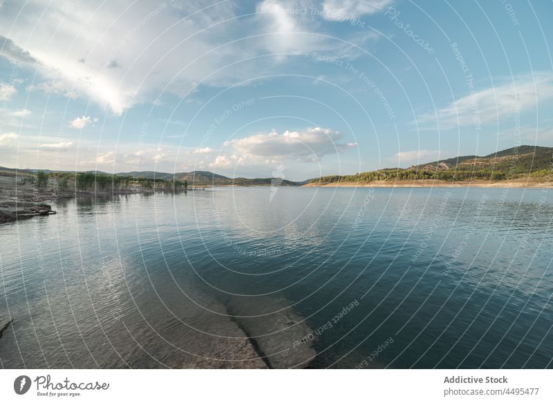 Fließender See in der Nähe grüner Bäume Wasser Natur Küste Wasserseite Seeufer Baum Pflanze Ufer Hafengebiet Umwelt malerisch aqua fließen Fluss Oberfläche