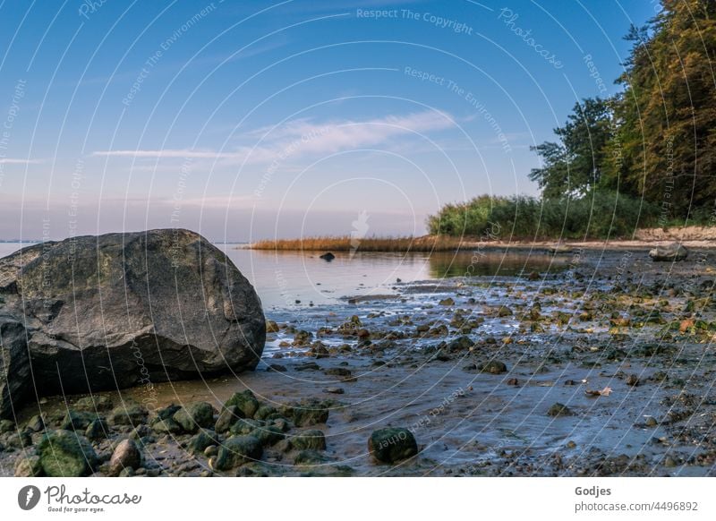 Blick auf einen Stein am Strand, Greifswalder Bodden Fels Wasser Himmel Bäume Wald Küste Meer Natur Landschaft blau Wolken Tourismus Wellen Erholung Felsen