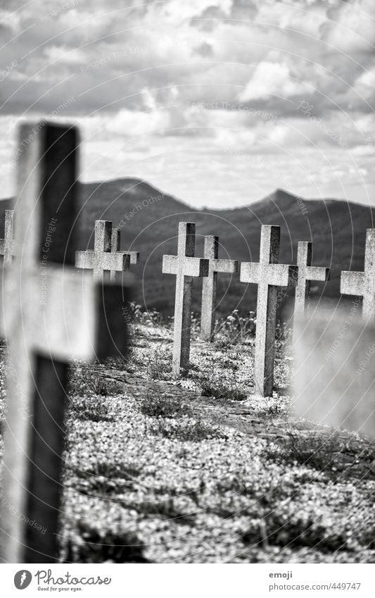 memorial Umwelt Natur Landschaft Himmel Wolken Sehenswürdigkeit Denkmal Zeichen Kreuz alt bedrohlich dunkel gruselig Grab Grabstein Grabmal Konzentrationslager