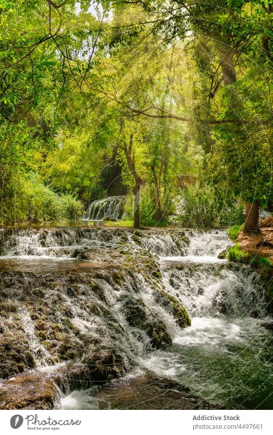 Wasserfall unter den Bäumen Natur fließend reisen Berge u. Gebirge im Freien Fluss Felsen Kaskade Wald Landschaft malerisch grün natürlich Sommer Baum nass