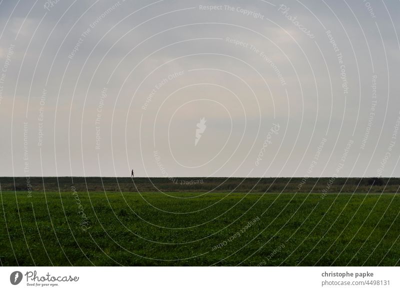 Frau spaziert auf Deich spazieren Herbst Spaziergang laufen Landschaft Außenaufnahme spaziergang Himmel Horizont Mensch Erholung gehen Einsamkeit