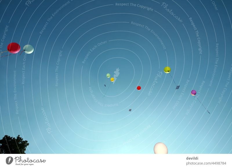 bunte Luftballons steigen auf einem Fest in den blauen Himmel Ballons Freude Fröhlichkeit Geburtstag Dekoration & Verzierung Lebensfreude Helium Glück Farbfoto