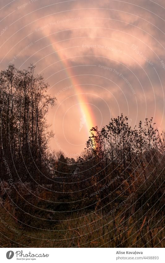 Regenbogen Abend dunkel Landschaft im Freien Natur regnerischer Abend nass Wolken Sonnenuntergang Sträucher Bäume Wetter Dämmerung Umwelt Sonnenlicht Himmel