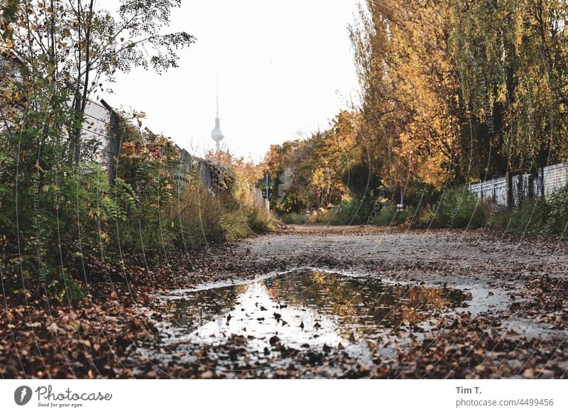 Herbstspaziergang Berlin mauerpark Fernsehturm Prenzlauer Berg Mauerpark Stadt Außenaufnahme Hauptstadt Himmel Stadtzentrum Menschenleer Pfütze Altstadt Tag