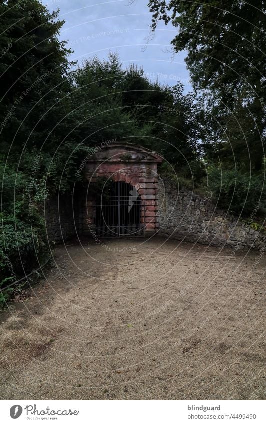 Dark place in the woods Tunnel Eingang alt historisch verschlossen Tür Eisen Stein Wald Lager geschlossen Menschenleer Metall Sand Mauer Bäume Sträucher