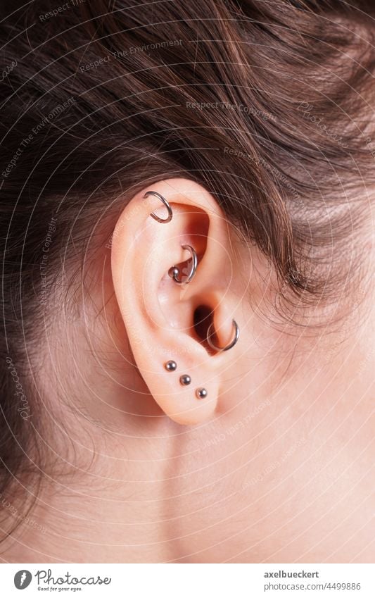 weibliches Ohr mit vielen Ohrringen inklusive Helix, Rook und Tragus Piercing Schmuck Ohrschmuck körperteil körperschmuck silber Frau Junge Frau Mode modern