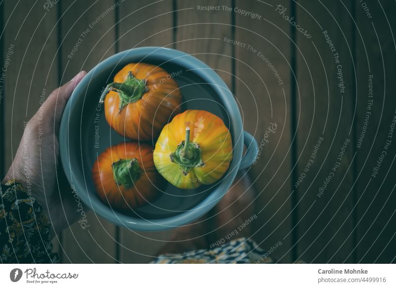 Frau hält hellblaue Schale in der Hand mit Auberginen der Sorte Cookstown Orange Ernährung gesund Gesundheit Lebensmittel Gesunde Ernährung