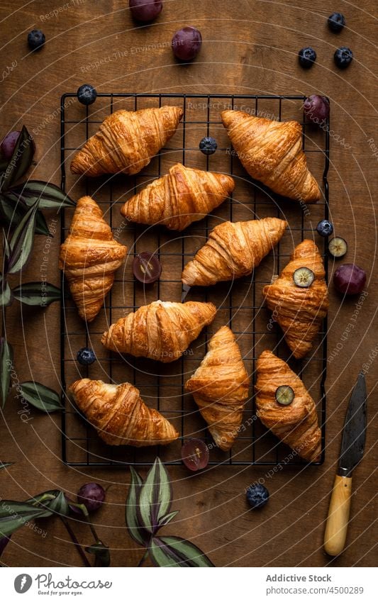 Frische Croissants auf einem Metallgitter Lebensmittel geschmackvoll süß lecker Gebäck frisch gebacken Dessert Produkt appetitlich Brot Ernährung essen Bäckerei