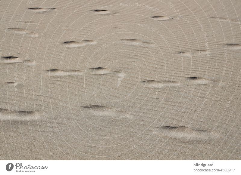 Wie ging das Lied doch gleich "Deine Spuren im Sand ..." Fußabdruck Strand Küste Meer Vergänglich weggespült verweht weggeweht Wasserlinien Wellenlinien