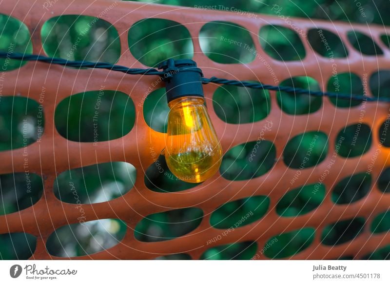 Orangefarbene Lichterkette über orangefarbenen Kunststoffzaun an einem Kürbisfeld; Herbstferienspaß Knolle Partylicht Feiertag Halloween Kürbispflaster