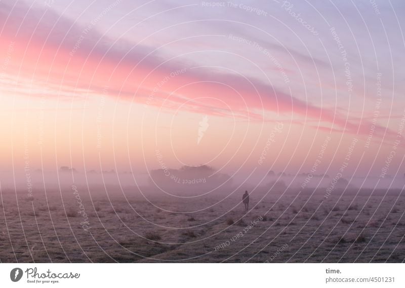 UT Teufelsmoor | soultrain morgendämmerung baum nebel horizont Natur Landschaft Himmel diesig romantisch weite Reisen Herbst Morgen Gegenlicht ruhig stille