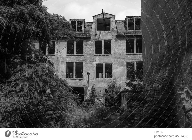 Hinterhof in Leipzig ruiniert Ruine s/w bnw Schwarzweißfoto Architektur Stadt Tag Menschenleer Außenaufnahme Fenster Gebäude SCHWARZ-WEIß Haus Fassade vergangen