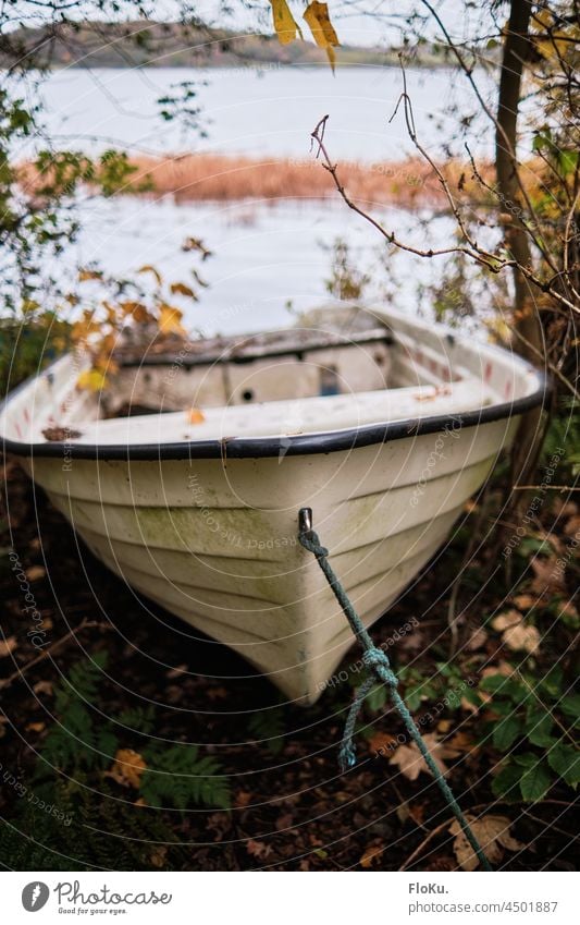 altes Ruderboot liegt am Seeufer Boot Wassersport Seefahrt Natur see ruderboot wassersport wasseroberfläche ausflug urlaub teich schiff natur landschaft weiß