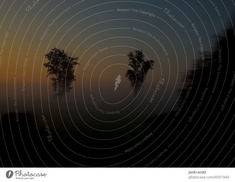 Unterwegs am frühen Morgen als erstes Sonnenlicht erscheint Sonnenuntergang Dämmerung Bewegungsunschärfe Sträucher Natur Frühmorgendlicher Nebel Silhouette