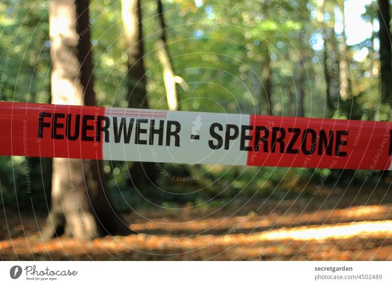 Zonie Absperrung Absperrband Wald sonnig Flatterband Warnung Verbote Sperrzone verboten Sicherheit flatterband Schutz rot-weiß Barriere Außenaufnahme