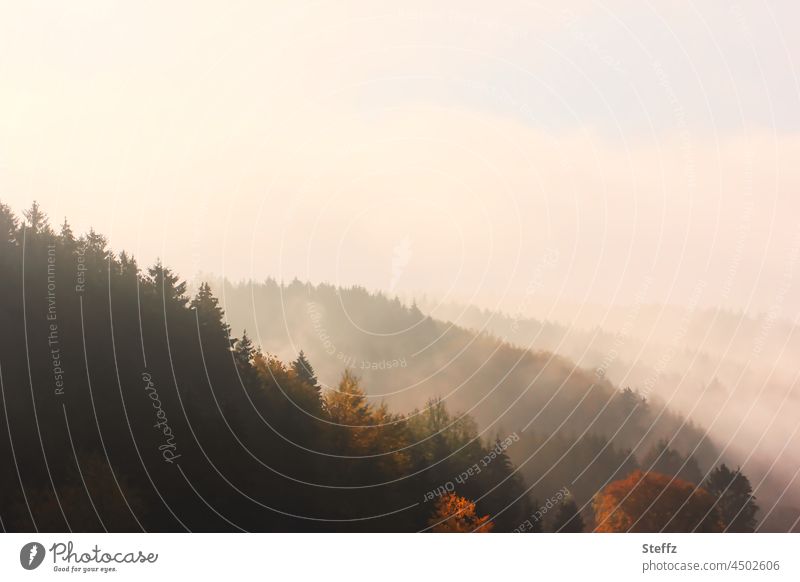 Morgennebel in den Hügeln Nebel Nebelschleier nebelig Morgenlicht neblig Morgenstille Tagesbeginn Hügellandschaft Nebelwald Stille Nebelstimmung Morgenstimmung