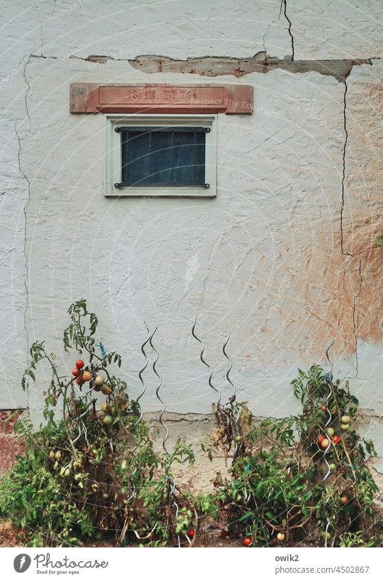 Fensterblick Scheune Fassade Gebäude Wand Mauer Außenaufnahme alt Farbfoto Detailaufnahme Menschenleer Vergänglichkeit Bauwerk Unbewohnt verwittert geschlossen