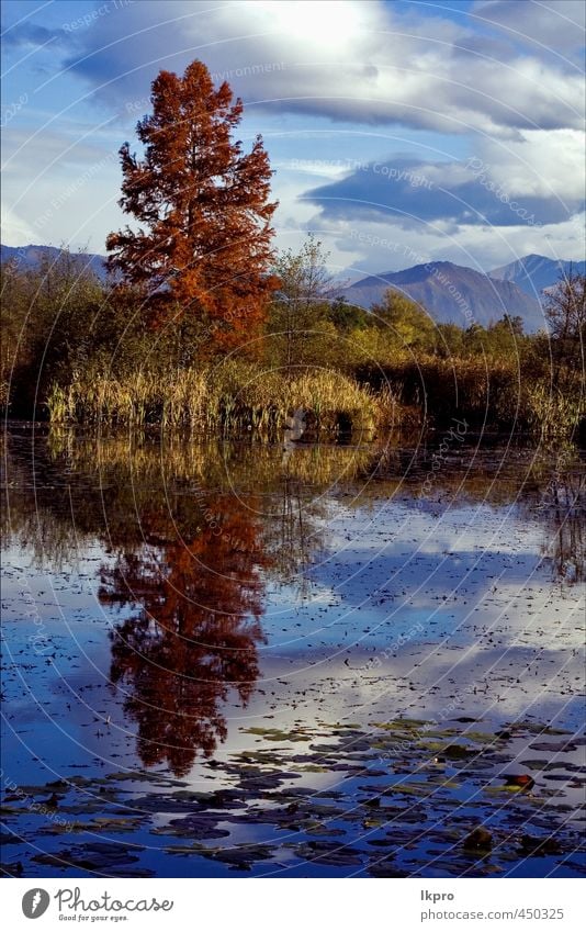 Moormoor sumpfig im Norden Italiens Erholung Ferien & Urlaub & Reisen Ausflug Berge u. Gebirge Natur Himmel Wolken Herbst Baum Blatt Hügel See Linie dreckig