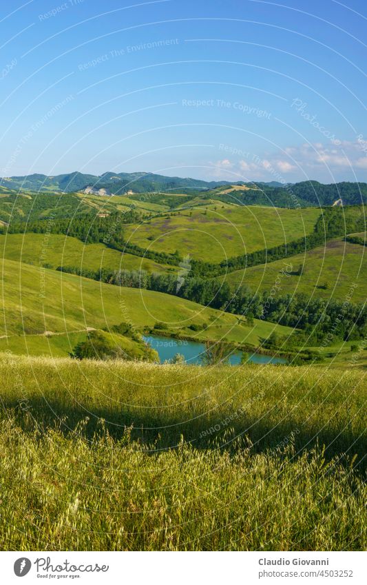 Ländliche Landschaft in den Hügeln bei Bologna, Emilia-Romagna. Botteghino di Zocca Europa Italien Monteveglio Ackerbau Calanques Zypresse Außenseite Bauernhof