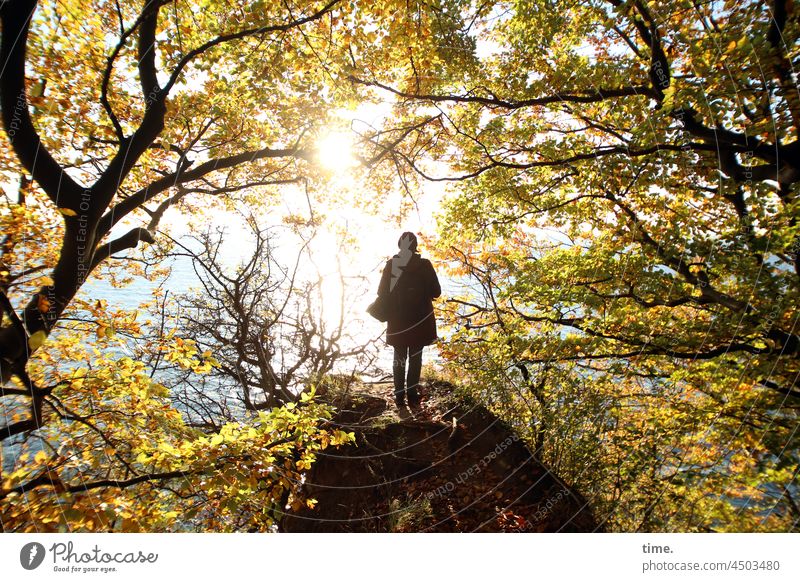 Herbstlicht frau wasser stehen goldener oktober herbstfarben waldweg nationalpark buche sonnig natur baum ostsee bäume lichtdurchflutet ausblick felsen