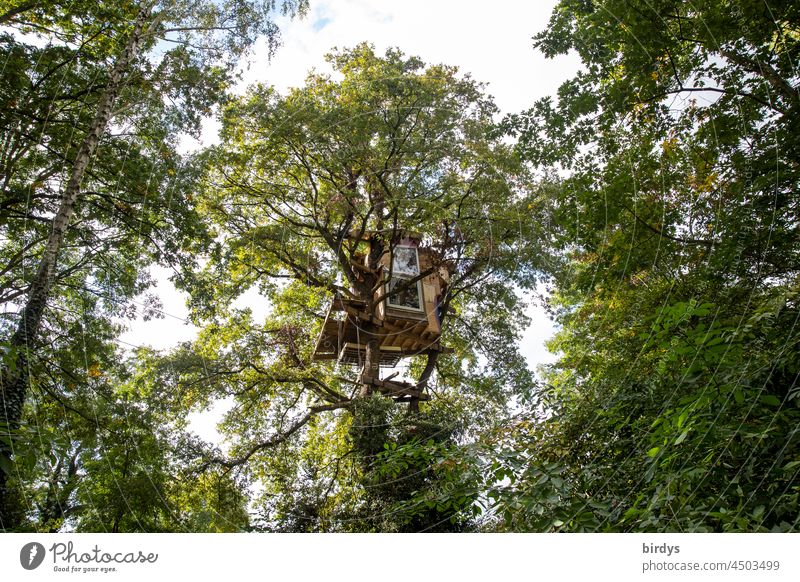 Baumhaus im von der Zerstörung durch RWE bedrohten Dorf Lützerath am Braunkohlentagebau Garzweiler 2 Bäume Protest Klimawandel Aktivisten Waldbesetzung