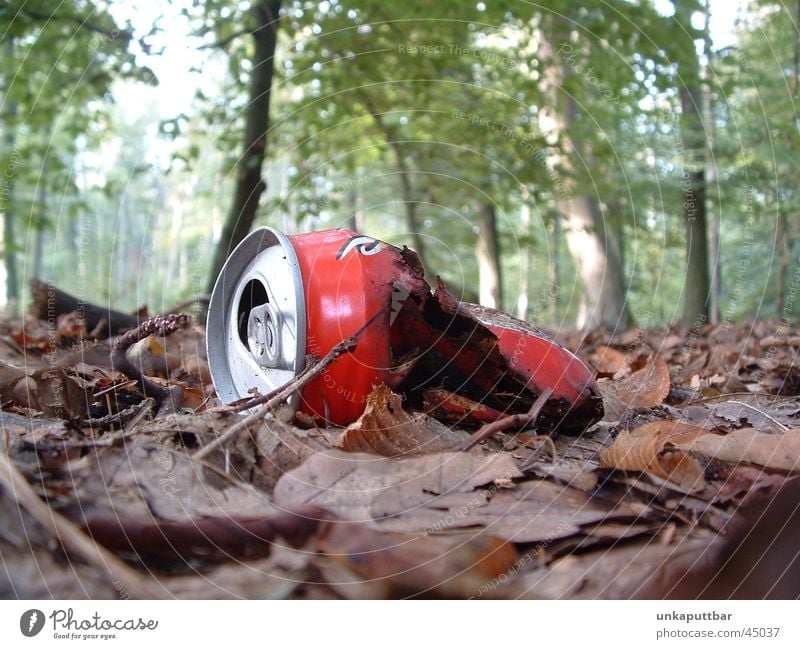 Marode kaputt Wald Dose rot Waldboden Cola obskur