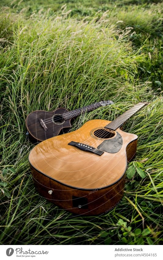 Akustische Gitarre und Ukulele im Gras akustisch Instrument Musik Schnur Natur grün instrumentell natürlich üben Flora Feld wachsen Landschaft Hobby Harmonie