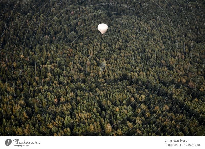 Litauen ist ein wunderschönes Land. Voller grüner Wälder, die man von einem Heißluftballon aus noch besser sehen kann. Malerische Herbstlandschaft aus dem Himmel und ein Ballonkollege erkundet die Schönheit der litauischen Natur.