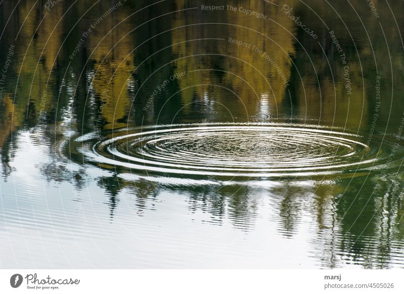 Wenn das Herbstgold der Lärchen sich im Wasser spiegeln. Unterbrochen nur von feinen Wellen. Wasserringe genießen Natur beruhigend tiefgründig Lichteinfall