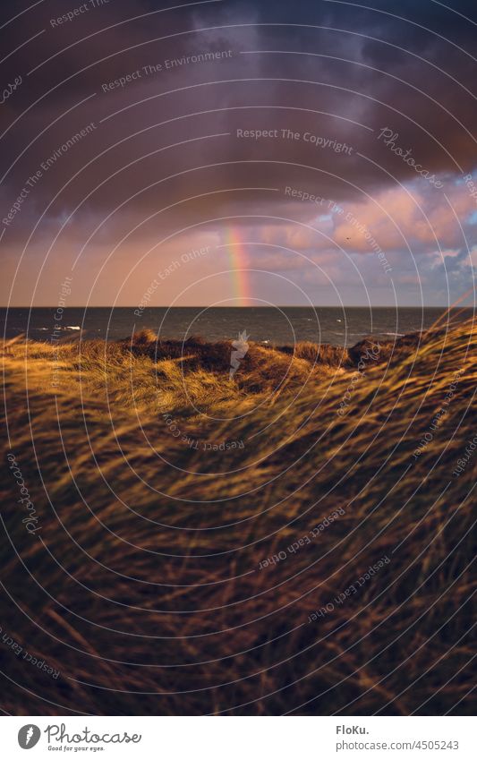 Regenbogen über der Nordseeküste Küste Wetter Umwelt Natur Dänemark Strand Ferien & Urlaub & Reisen Meer Himmel Tourismus blau Landschaft Wolken Außenaufnahme