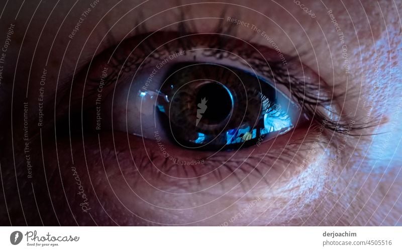 Das Auge des Betrachters - Spiegelung . Von zarten Wimpern eingerahmt, spiegeln sich verschiedene Farbspektren darin. Farbfoto Natur spieglung blau Sommer