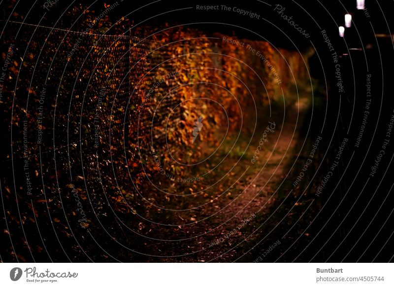 Nachts den Weg am Zaun entlang… Maschendrahtzaun Außenaufnahme nachts Dunkelheit dunkel gruselig gruseln gespenstisch Angst Licht Halloween geheimnisvoll