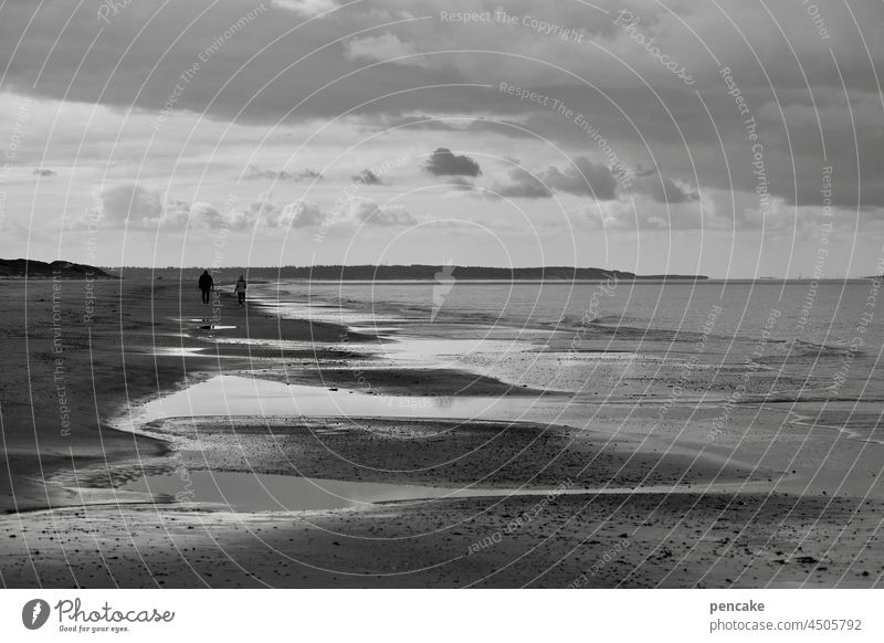 la mer Meer Nordsee schwarz-weiß Spaziergang Paar Ebbe Spiegelung Wolken Ferne Strand Himmel Küste Gezeiten Erholung Ferien & Urlaub & Reisen Wasser