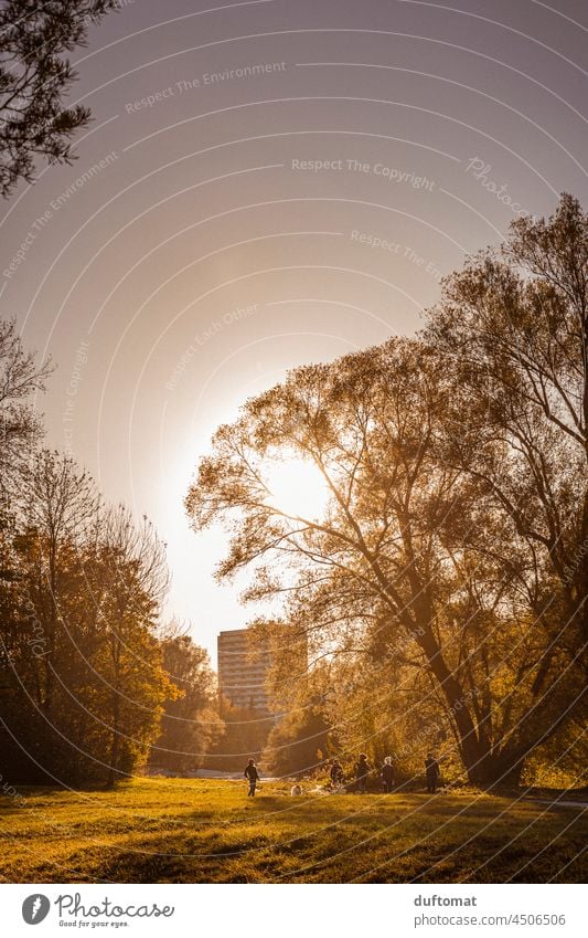 Herbstliche Stimmung im Park mit Gegenlicht natürlich Pflanze herbstlich Herbstlaub Baum Herbstfärbung Mauer mehrfarbig Umwelt Vergänglichkeit Veränderung