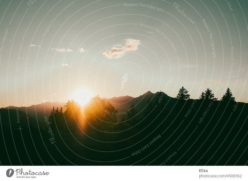 Aussicht auf die hinter den Bergen untergehende Sonne mit Tannen Sonnenuntergang Berge u. Gebirge Alpen Natur Landschaft Sonnenaufgang Wald Fenster Gipfel