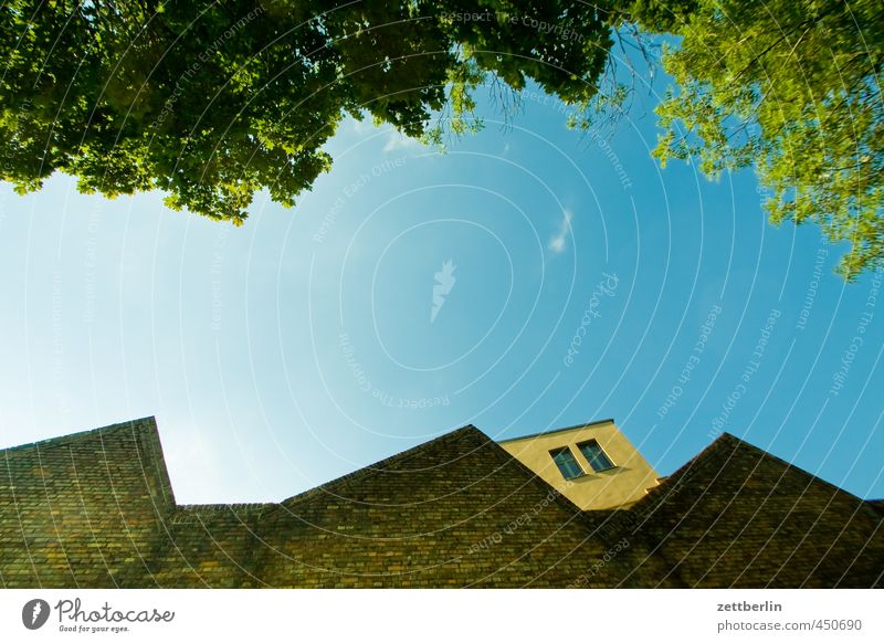 Was anderen Fotografen nicht gefiel Ferien & Urlaub & Reisen Haus Garten Natur Pflanze Himmel Klima Schönes Wetter Blume Park Wald Menschenleer Mauer Wand