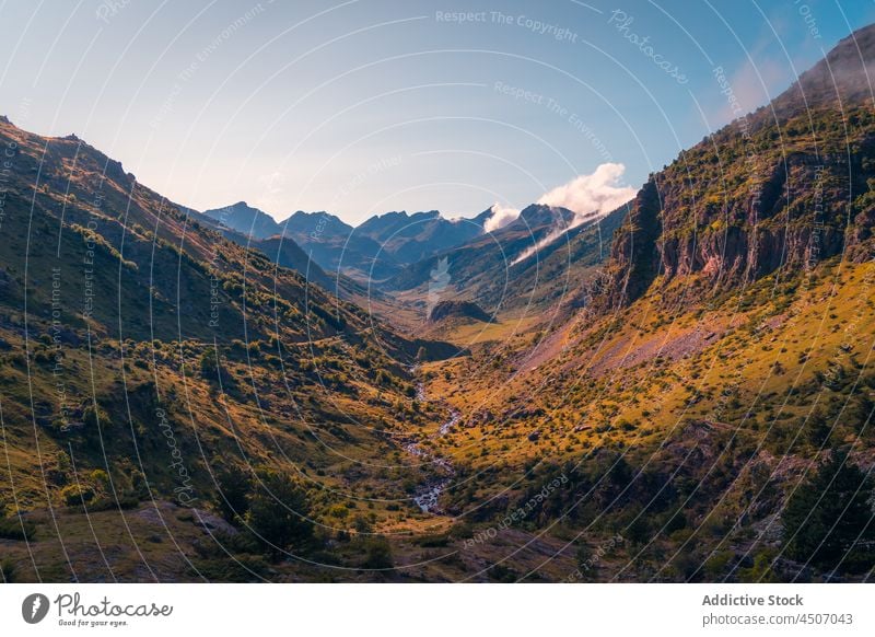 Grasbewachsenes Tal mit Bach im Sonnenlicht Hügel Natur Berge u. Gebirge Berghang Landschaft Buchse Pflanze natürlich Pyrenäen Spanien Umwelt wild Örtlichkeit