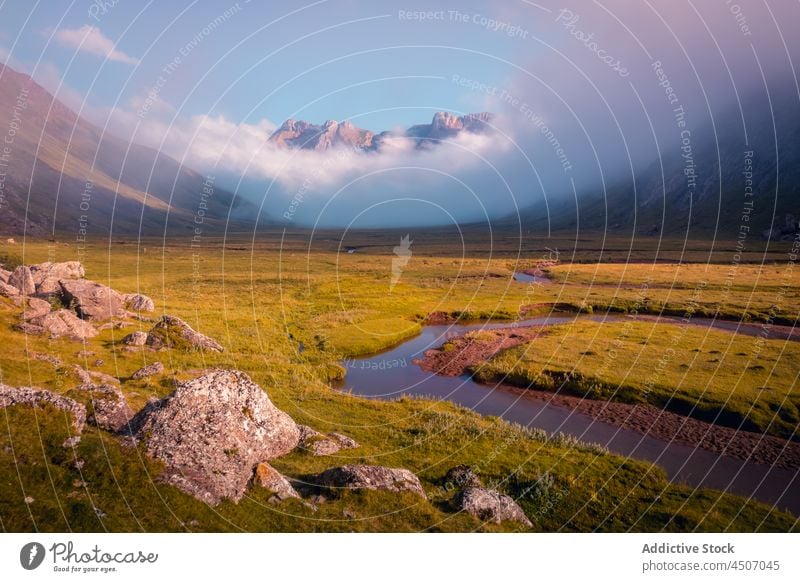 Grasbewachsenes Tal mit Bach im Sonnenlicht Fluss Hügel Natur Berge u. Gebirge Berghang Landschaft Buchse Pflanze natürlich Pyrenäen Spanien Umwelt wild