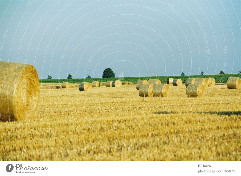 auf´m Land Strohballen Feld Gras Europa Amerika Himmel