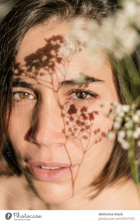 Frau mit Schatten von Blumen auf dem Gesicht im Sonnenlicht Porträt feminin Blütezeit sanft Haut Zweig Sonnenschein filigran Menschliches Gesicht Schönheit