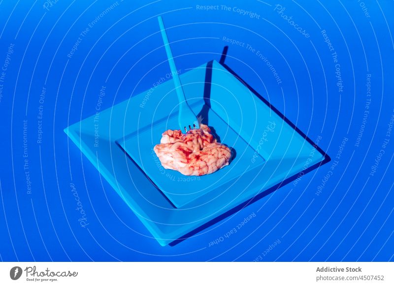 Rohe Gehirne auf blauem Teller Nährstoffversorgung Organ roh dienen Lebensmittel ungewöhnlich Konzept organisch merkwürdig kreativ Gabel lebhaft Stil Design