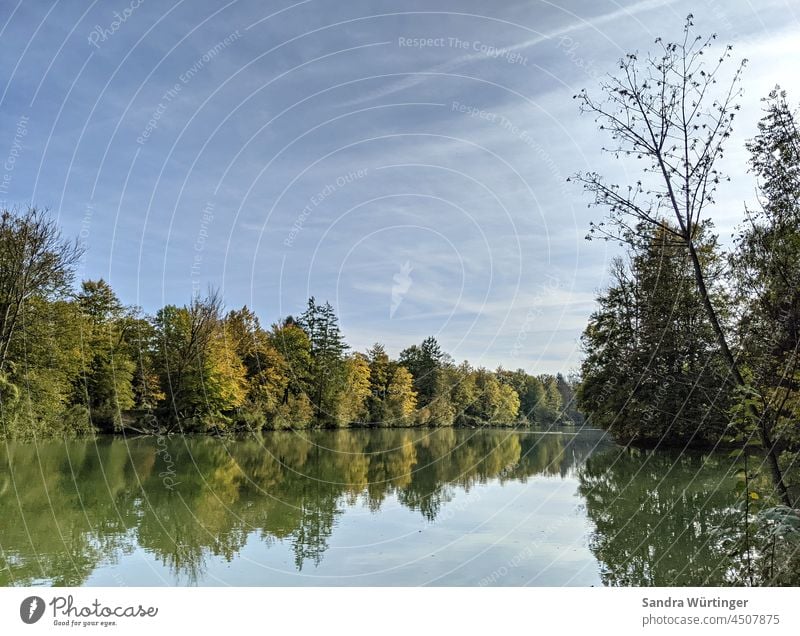 Spätsommer am See Spiegelung Reflexion & Spiegelung Wasser Natur Spiegelung im Wasser ruhig Landschaft Außenaufnahme Menschenleer Wasseroberfläche Umwelt Himmel