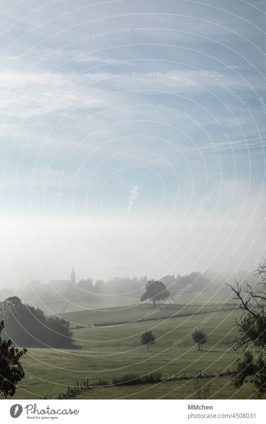 Hügelige Landschaft mit Dorf und Bäumen im Herbstnebel Kirche Dorfleben Dorfidylle Dorfrand Wiese Baum Nebel Schleier verschleiert Sicht unsichtbar Weitblick