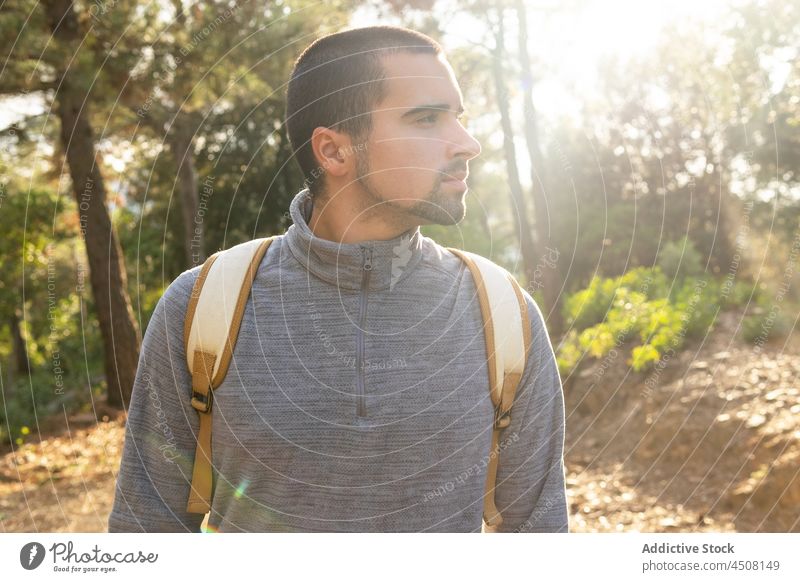 Rucksacktourist steht im Wald im Sonnenlicht Mann Wanderer Natur Baum ruhen Trekking Reisender Wanderung reisen Ausflug männlich jung Vollbart brünett lässig