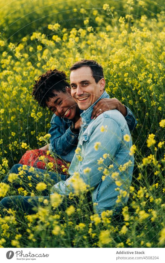 Glückliches junges buntes Paar schaut in die Kamera auf einer Wiese im Sonnenlicht Termin & Datum romantisch Liebe Zusammensein Partnerschaft Zuneigung Natur