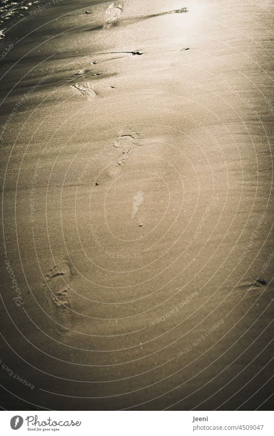 Spuren hinterlassen Fuß fußabdruck Fußabdrücke Sand Sandstrand Strand Meer Fußspur Barfuß Küste Sommerurlaub Spaziergang Wasser Abdruck Freiheit Erholung ruhig