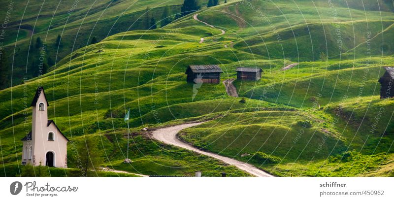 Schein, heilig Umwelt Natur Landschaft Sonnenlicht Schönes Wetter Pflanze Baum Wiese Hügel Dorf Haus Kirche grün wellig Dolomiten Südtirol Alpen Alm